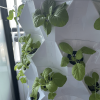Aeroponics Equipment Pineapple Tower Garden Vertical Hydroponic Growing System 6 Layers 48 Plants - 6 Layer 48 Plants