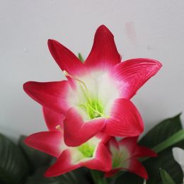 Lily Flower Multi-Color Changing LED Solar Garden Lights - Red