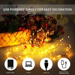 10M 100 LEDs Waterproof USB Copper Wire Christmas Decoration String Light Garden Courtyard String  - picture