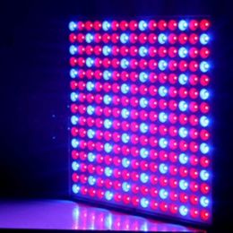 14W 1000LM 225-LED Red & Blue Light Indoor Garden Plant Grow Light Hanging Light - picture