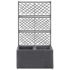 Trellis Raised Bed with 2 Pots 22.8"x11.8"x42.1" Poly Rattan Black - Black