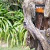 35"Tall Polyresin Fountain Water Feature with Light Curved Tree Trunk Design for garden or lawn - as Pic