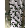 Aeroponics Equipment Pineapple Tower Garden Vertical Hydroponic Growing System 10 Layers 80 Plants - 10 Layer 80 Plants