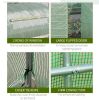 19'x9.6'x6.5' Large Walk-in Tunnel Greenhouse Garden Planting Hot House;  Green - Green