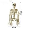 Halloween Skull Skeleton Ghost Bridegroom Bride Couple Human Skeleton Decoration Props - Color 1