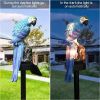 Parrot Decor Garden Solar Light - Red
