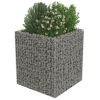 Gabion Raised Bed Galvanized Steel 35.4"x35.4"x39.4" - Silver