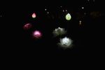 Lotus Flower Shape Lawn Lamps 3 LED Lighting Waterproof Solar Lamp - Pink