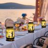 2 Pack Solar Fairy Lantern Garden Decorations - Multi Color
