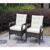 2-Piece Liberatore Dining Chairs with Cushions (Beige Cushion) - Wicker/Rattan