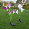 Lily Multi-Changing LED Lights - Solar Garden Stake Lights - Purple