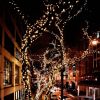 Solar Christmas String Lights; 33ft 100 LED Solar 8 Modes Outdoor Waterproof String Lights For Christmas Tree Garden Decoration (multi-color) - Purple