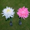 LED Chrysanthemum Flower Stake Light Solar Energy Rechargeable for Outdoor Garden - Pink
