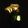 LED Rose Flower Stake Light Solar Energy Rechargeable for Outdoor Garden Patio - White
