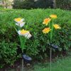 LED Daffodil Flower Stake Light Solar Energy Rechargeable for Outdoor Garden - White