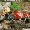 Garden Decoration Ceramic Ornament Mushroom  - Set of 4