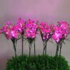 Garden Patio LED Daisy Flower Stake Outdoor Pathway - Pink