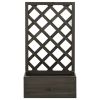 Garden Trellis Planter Gray 19.7"x9.8"x35.4" Solid Firwood - Grey