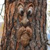 1pc Funny Tree Faces Decor; Old Man Tree Face Decoration; Yard Art - B