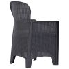 Patio Chair 2 pcs with Cushion Brown Plastic Rattan Look - Brown