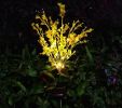 Outdoor Garden Patio Pathway Porch Backyard, LED Canola Flower Stake Light - Yellow