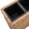 Garden Raised Bed with 4 Pots Water Hyacinth - Brown