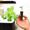 Seed Grow Sponges Replacement Root Growth Sponges Seedling Starter Plugs Seed Starting Seed Pod Hydroponic Garden Planting - China - 50pcs