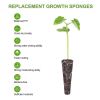 Seed Grow Sponges Replacement Root Growth Sponges Seedling Starter Plugs Seed Starting Seed Pod Hydroponic Garden Planting - China - 50pcs