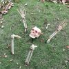 Realistic Skeleton Stakes Halloween Decorations for Garden - set2