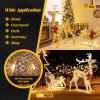 Christmas Reindeer Sleigh Decoration with 100 Lights - golden