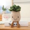 9inch Creative Succulent Plant Decoration; For Garden Green Lovers Cute Succulent Sleep Seat Cushion Home Decoration - White - 9inch