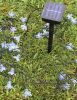 Fairy Blossom Flower Solar Garden String Lights - Multi-Color