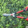 Gardtech Extendable Hedge Trimmer Gardening Shears Set 3PCS - Telescope Hedge Shears;  Mini Garden Shear Pruner Garden Scissors 2pcs - Great for Trimm