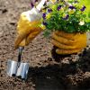 Gardtech Garden Trowels with Wooden Handle;  Stainless Steel Garden Hand Shovel;  Garden Spade;  Gardening Hand Tools for Transplanting Digging Weedin