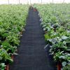 Garden Weed Barrier Fabric For Flower Bed Underlayment Ground Cover - Black - 4ft x 100ft