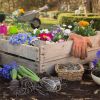 Garden Cart Rolling Scooter with Seat and Tool Tray for Weeding;  Gardening;  and Outdoor Lawn Care- For Adults and Kids  - 17.50 x 19.00 x 13.00 Inch