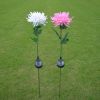 LED Chrysanthemum Flower Stake Light Solar Energy Rechargeable for Outdoor Garden - White