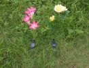 LED Rose Flower Stake Light Solar Energy Rechargeable for Outdoor Garden Patio - White