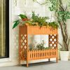 2-Tier Raised Garden Bed Elevated Wood Planter Box for Vegetable Flower Herb - Natural - Fir Wood