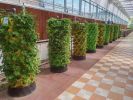 Aeroponics Equipment Pineapple Tower Garden Vertical Hydroponic Growing System 10 Layers 80 Plants - 10 Layer 80 Plants