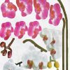 Elegant Garden - Wall Decals Stickers Appliques Home Decor - HEMU-LD-8018