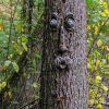 1pc Funny Tree Faces Decor; Old Man Tree Face Decoration; Yard Art - B