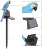 Parrot Decor Garden Solar Light - Red