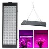 Free shipping Hydroponic 1000W LED Grow Light Full Spectrum For Indoor Flower Plant Lamp UV IR - picture
