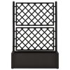 Garden Raised Bed with Trellis and Self Watering System Anthracite - Anthracite