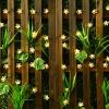 Fairy Blossom Flower Solar Garden String Lights - Warm